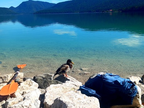 Eibsee Explorers Touren